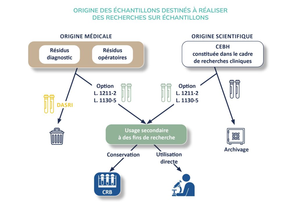 Les réels enjeux bioéthiques de la recherche sur échantillons biologiques humains - Life Avocats