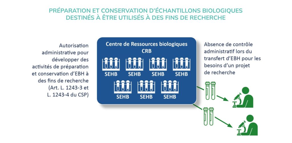 Recherche sur échantillons biologiques : un cadre juridique limité - Life avocats